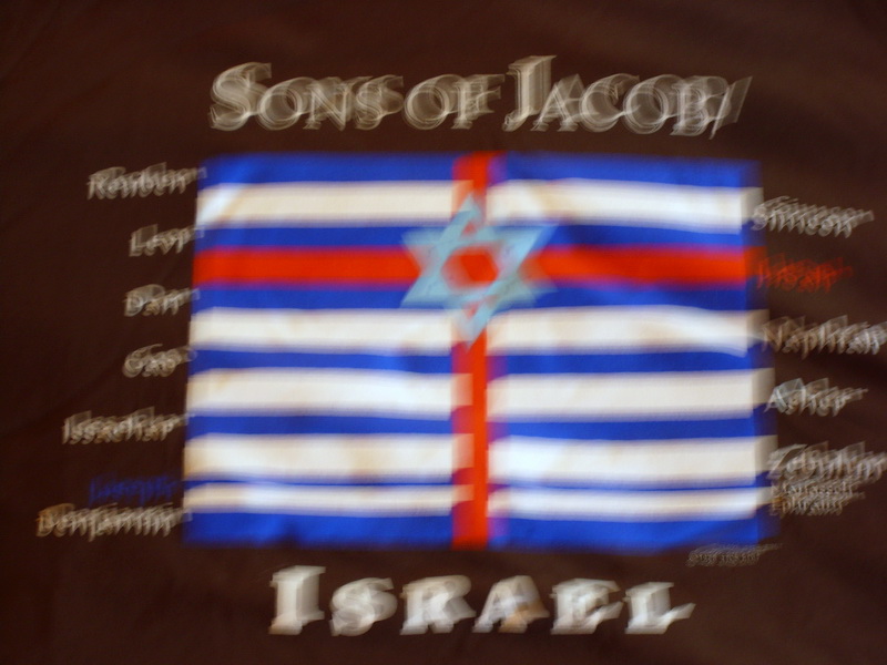 TSh-SOJ/AA-Unisex-Brown: L, XL